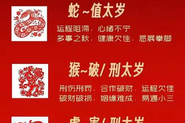 “红男绿女”打一正确的生肖，红男绿女打一生肖答案解释释义落实