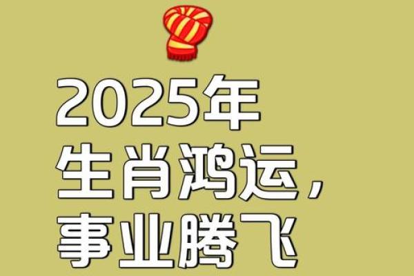 “挖空心思”打一最佳准确生肖，挖空心思打一动物猪答案解释释义落实