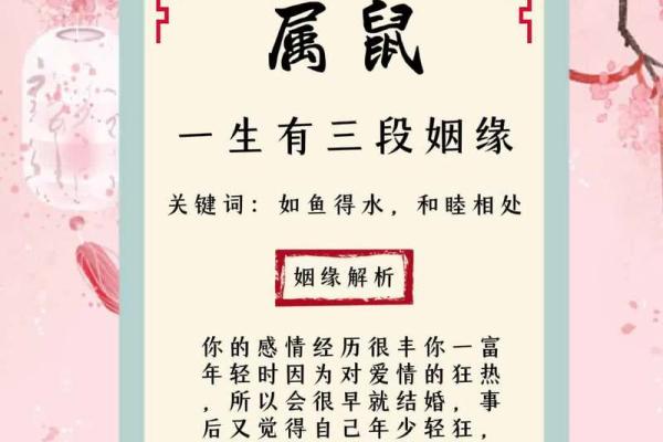 姻缘匹配指南如何找到最适合你的另一半