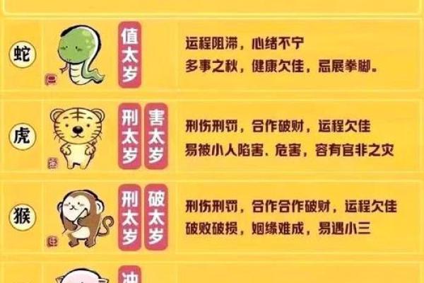 司马懿大战孔明指的是什么生肖