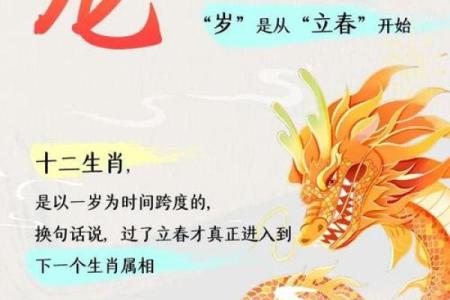 2024年属龙年龄对照表各月出生者今年运势详解