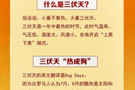 2021年几点入伏