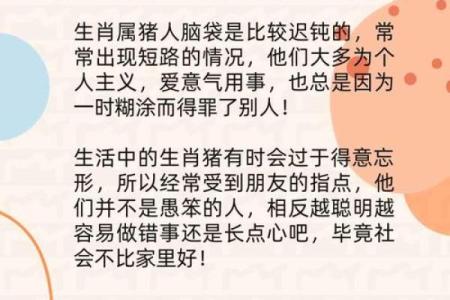 点头哈腰是什么生肖