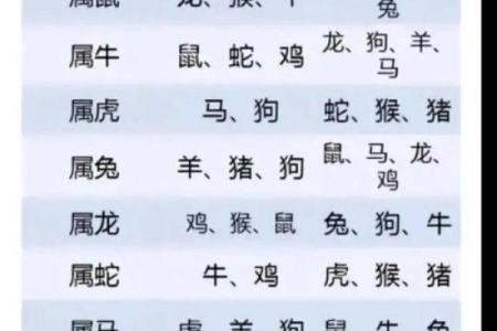 1993属鸡2025年的运势及运程_93年属鸡的2025年运势怎么样