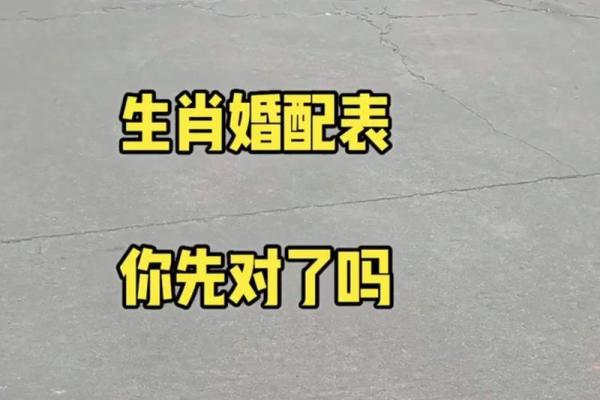 男属猴女属鸡婚姻相配吗生肖配对解析与婚姻建议