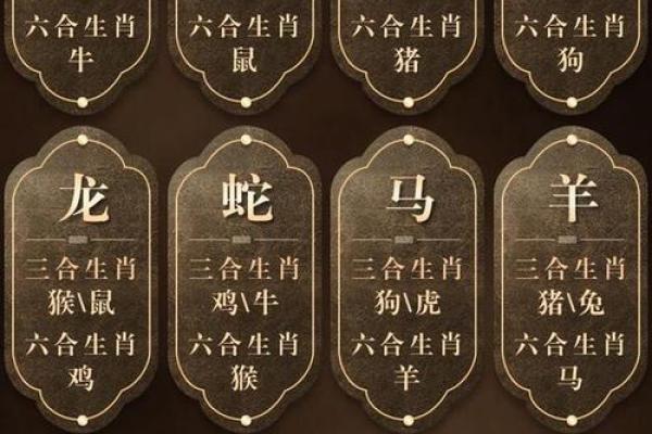 “乱碰乱撞”打一准确动物生肖，乱碰乱撞是什么生肖答案解释释义落实