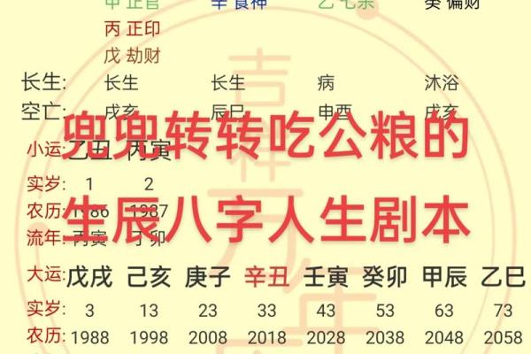 我的生辰八字免费测试_测测我的生辰八字
