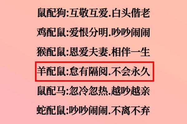 属鼠男生和属猴女生婚姻 生肖鼠男和生肖猴女合不合...