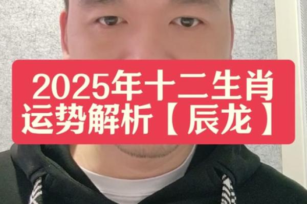 2025属龙的今年多大了_今年属大龙多大