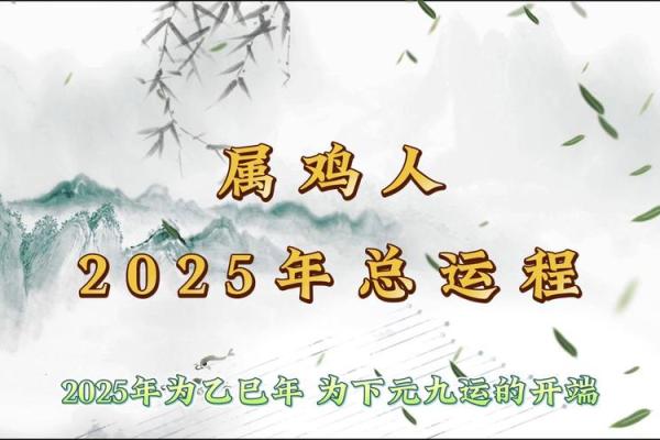属鸡2025年幸运色和忌讳色 属鼠人2025年幸运色是什么颜色