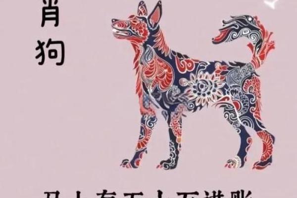属狗人今年运势2025年每月运势_属狗2025运势及运程