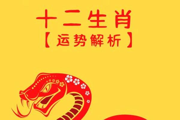 2025年96年属鼠人的全年运势女性