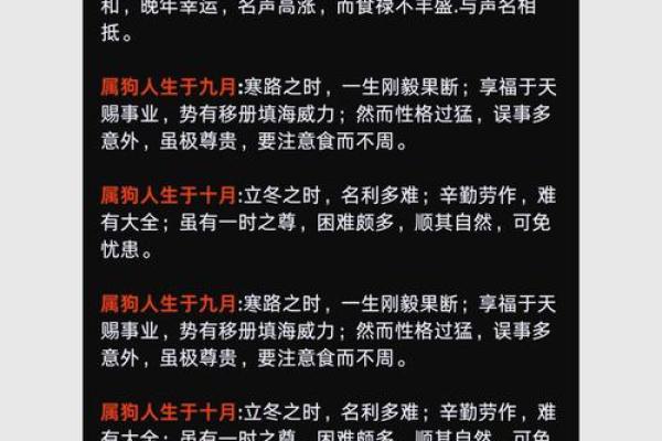 2025年属狗运势详解财运事业感情全面解析