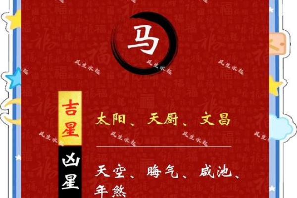 属马2025多大_属马的年龄表