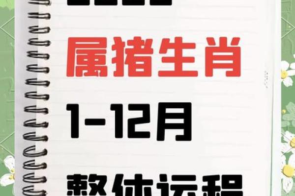 属猪的2025年佩戴什么最好_2025年属猪冲太岁戴什么