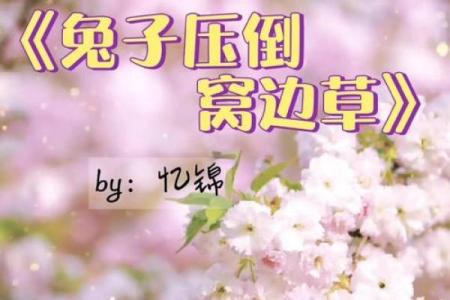 青梅竹马指什么生肖