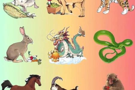 今夕有酒今夕醉打一个生肖