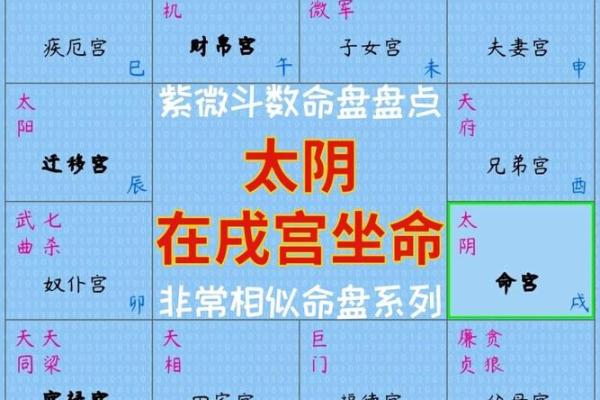 2025年4月1日卯时女命紫微斗数全解盘