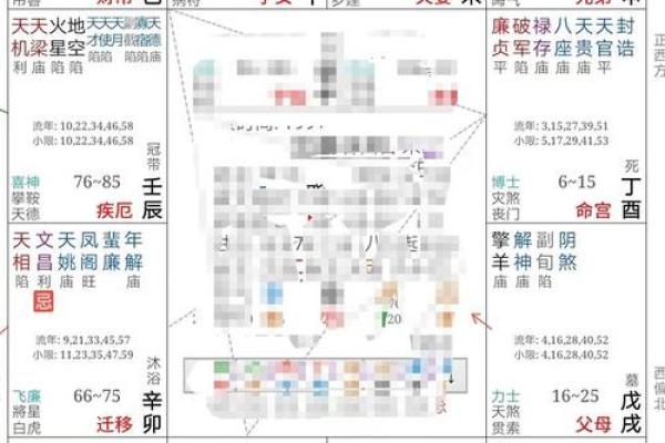 2025年4月4日申时女命紫微斗数全解盘