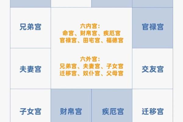 2025年4月17日子时男命紫微斗数全解盘
