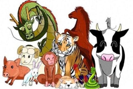 春风拂面是什么生肖