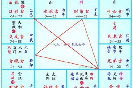 2025年4月19日午时女命紫微斗数全解盘