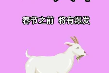 钻冰求火打一最佳生肖