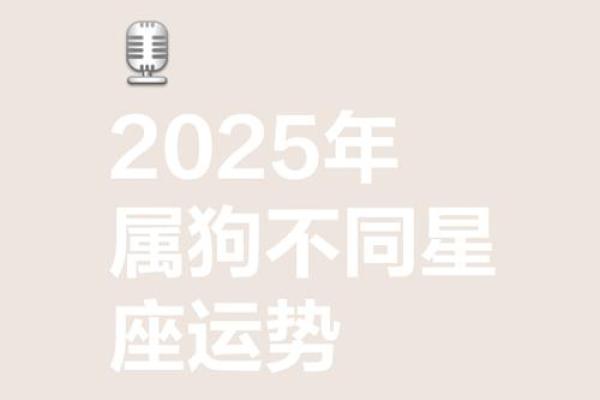 属狗的人2025年运势及运程详解 2025年属狗的全年运势详解