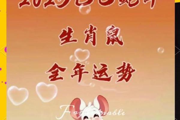 1996年属鼠2025年运势及运程