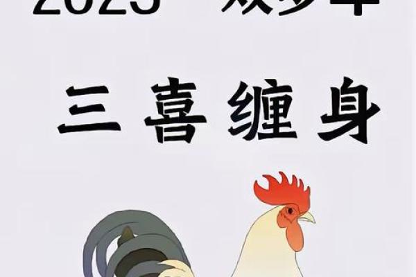 93年的鸡2025年运势怎么样_2025年93年属鸡人运势详解财运事业感情全解析