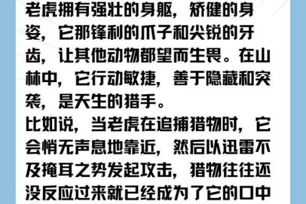 做贼心虚打一个生肖
