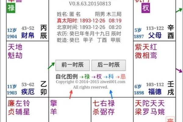 2025年4月5日子时男命紫微斗数全解盘