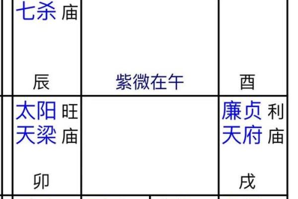 2025年4月8日子时女命紫微斗数全解盘