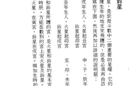 2025年4月29日子时男命紫微斗数全解盘