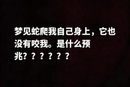 女人梦到蛇