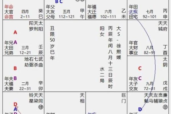 2025年4月6日卯时女命紫微斗数全解盘