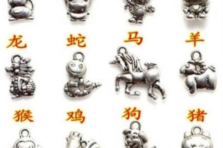 五光十色指什么生肖