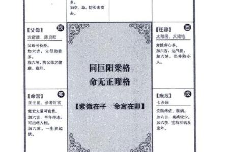2025年4月11日申时女命紫微斗数全解盘