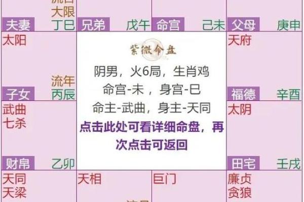2025年4月5日巳时男命紫微斗数全解盘