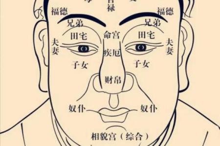 2025年4月29日辰时女命紫微斗数全解盘