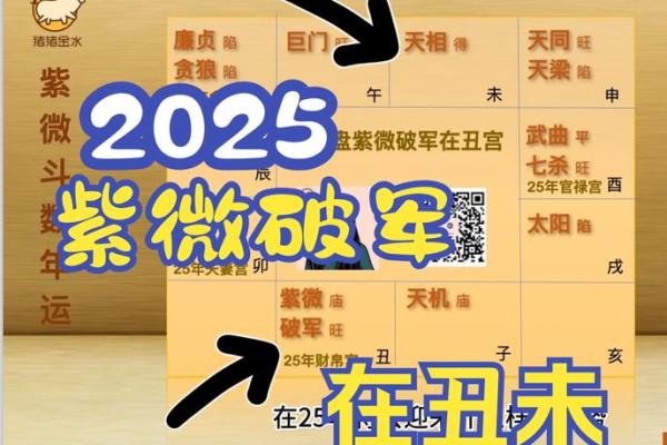 2025年4月2日戌时男命紫微斗数全解盘