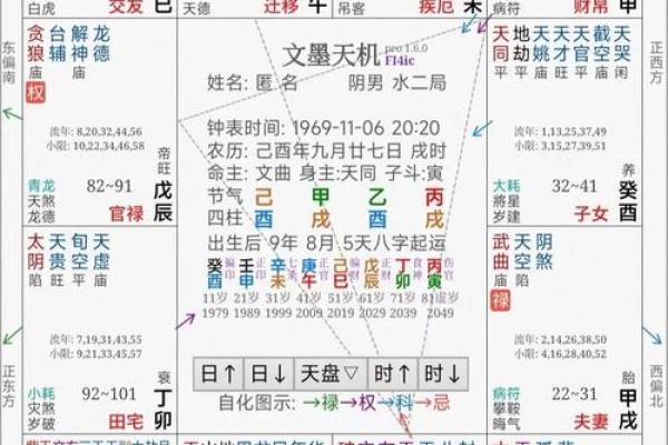 2025年4月2日申时男命紫微斗数全解盘