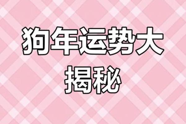 1970年属狗人2025年运势详解运程预测与吉凶分析
