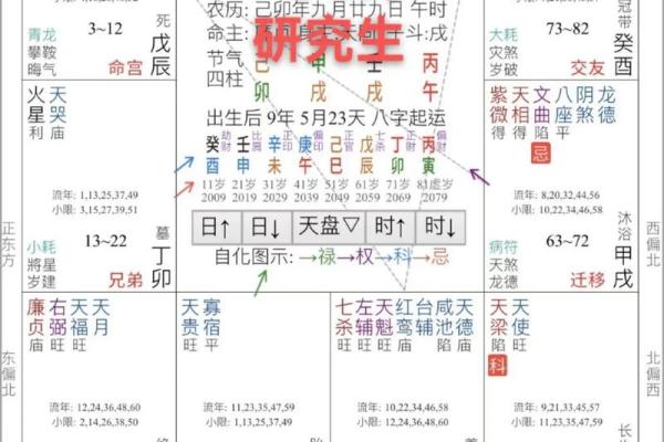 2025年4月5日未时男命紫微斗数全解盘