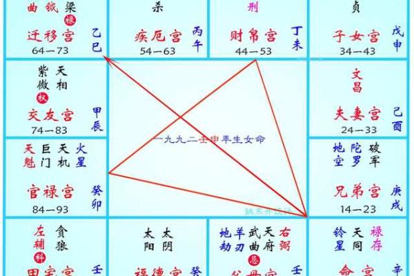 2025年4月16日未时男命紫微斗数全解盘