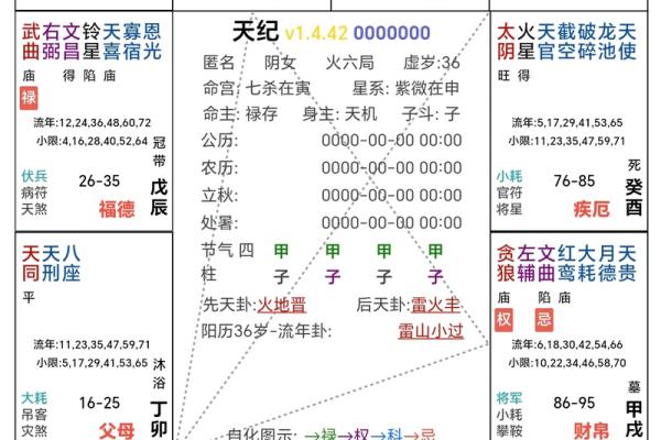 2025年4月1日申时男命紫微斗数全解盘