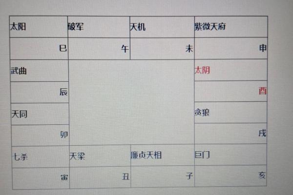 2025年4月22日卯时男命紫微斗数全解盘