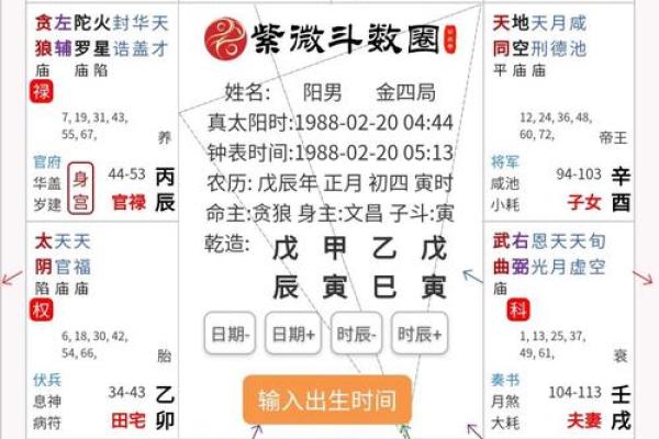 2025年4月6日寅时男命紫微斗数全解盘