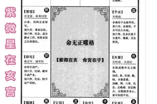 2025年4月4日亥时男命紫微斗数全解盘