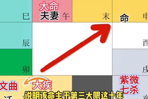 2025年4月1日酉时女命紫微斗数全解盘